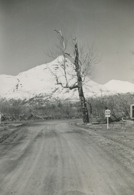 NAS Kodiak in 1949-50
