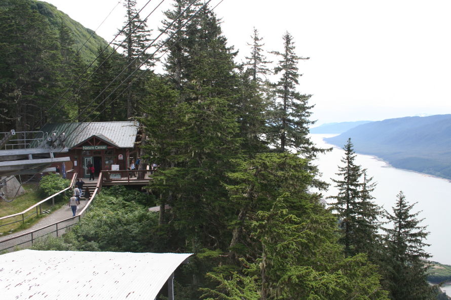 Nature Center on Mount Roberts at Juneau, Alaska