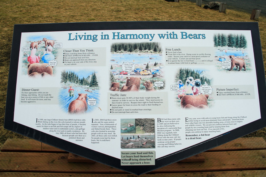 Bear warning sign along the Chilkoot River, Alaska
