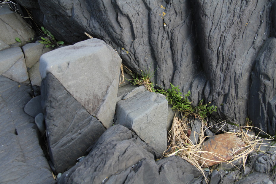 Rocks along the Seduction Point Trail at Haines, Alaska