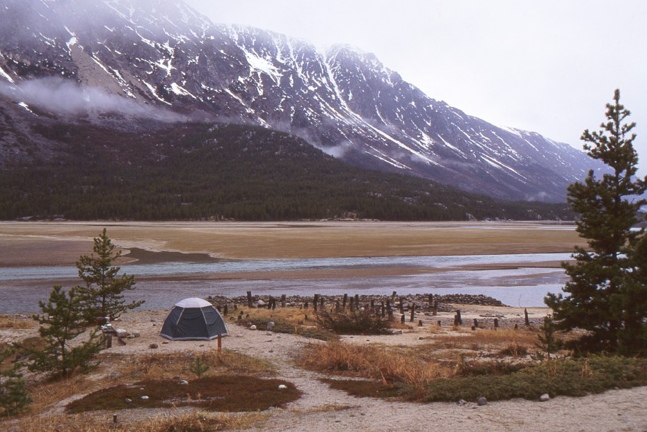 Tenting on the shore of Lake Bennett