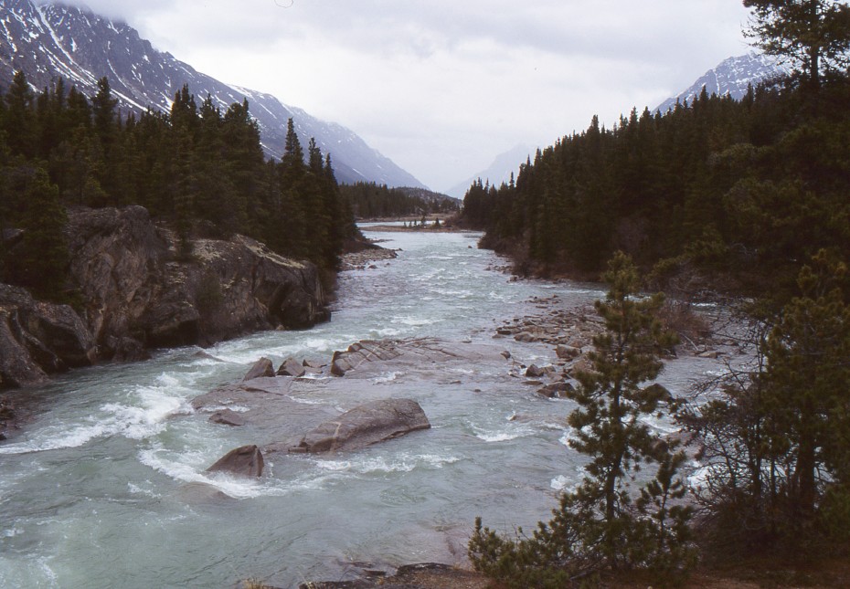 Lindeman Creek (usually called the One Mile River during the Klondike gold rush)