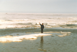On an ice floe at Tuktoyaktuk on June 21, 1985