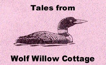 How Loon got his Spots - Wolf Willow Cottage, Yukon