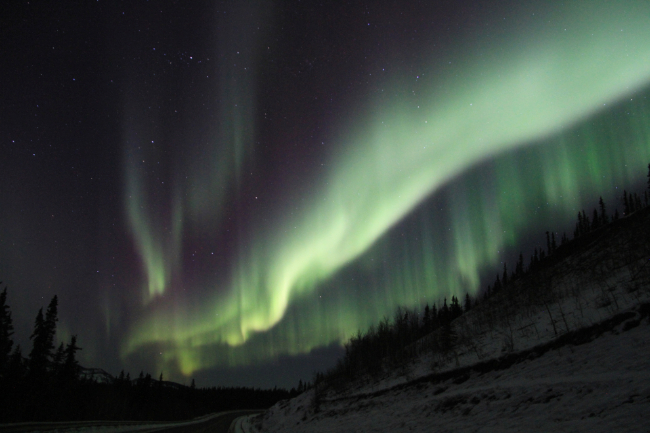 The aurora borealis north of Carmacks, Yukon