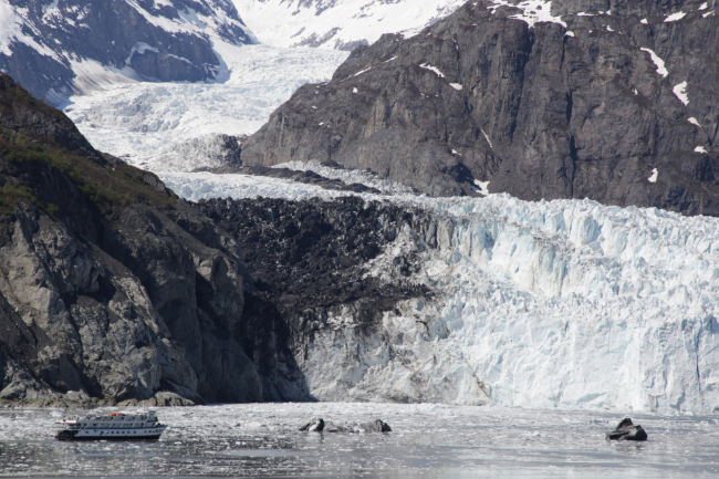A spectacular day cruising Glacier Bay
