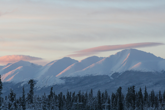 Along the South Klondike Highway in January