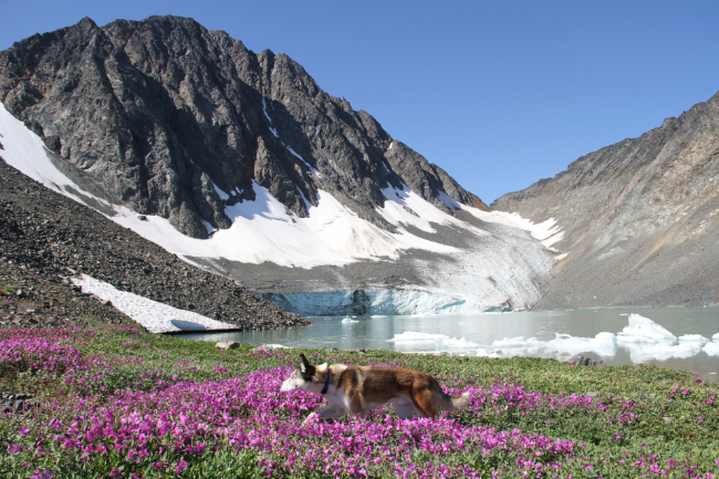 A glacial lake below Paddy Peak, BC