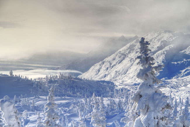 January in the White Pass