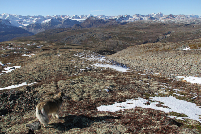 Hiking to The Three Guardsmen Cirque, Haines Highway