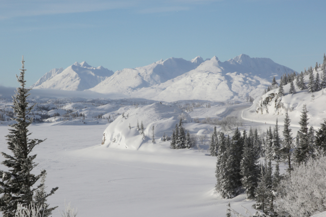 Ptarmigan Point in the White Pass in February