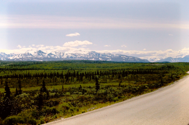 Driving south on the Richardson Highway, south of Delta Junction, June 1966