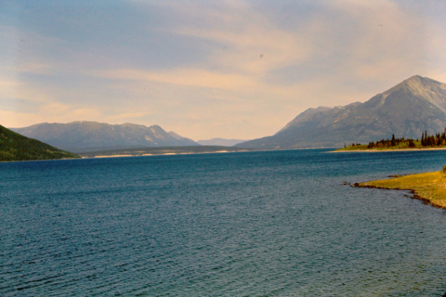 Lake Bennett, July 1966