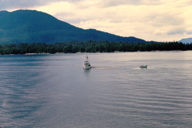 Passing an Alaska seiner at work, July 1966
