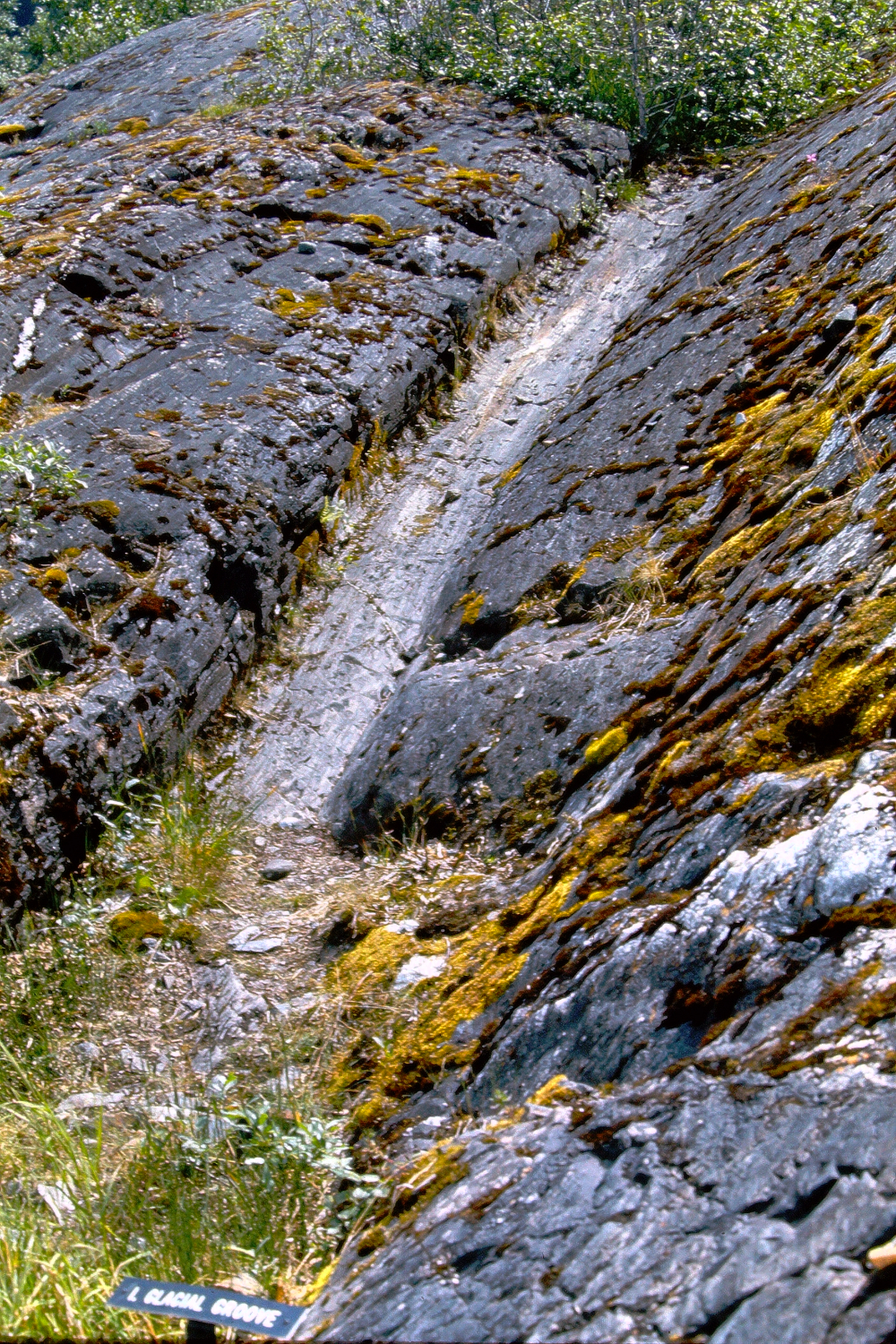 Mendenhall Glacier, 1966