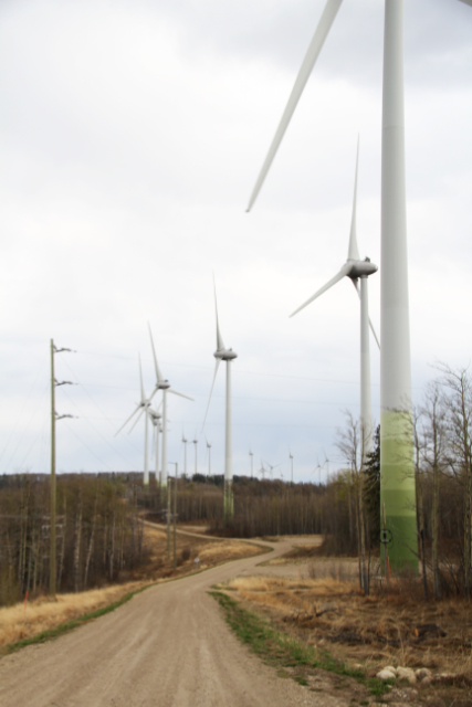 Bear Mountain Wind Park turbine