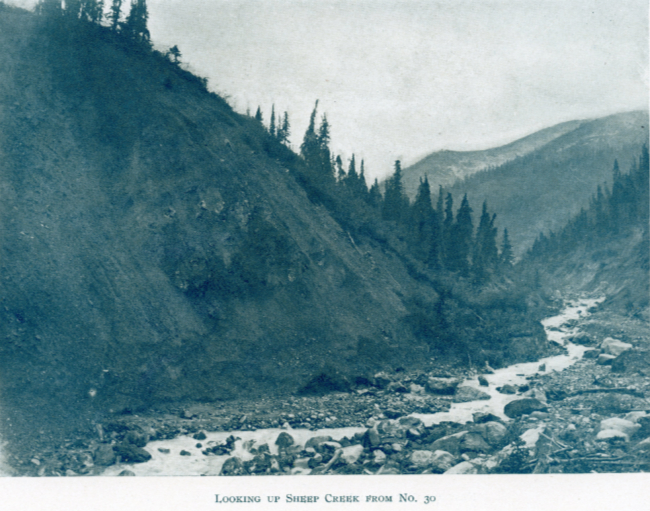 A Yukon Souvenir, 1904 - Looking Up Sheep Creek From No. 30