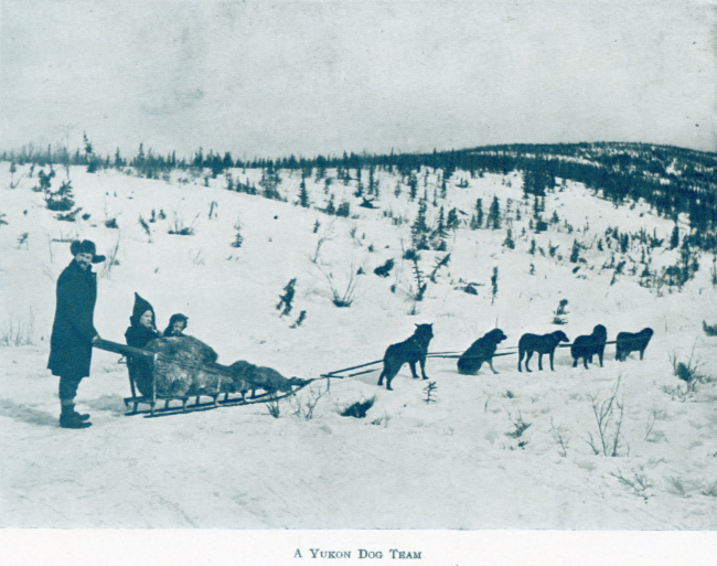 A Yukon Souvenir, 1904 - A Yukon Dog Team
