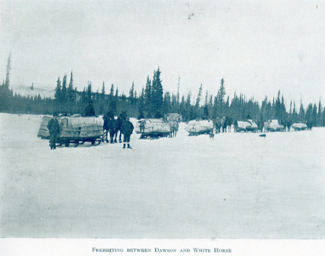A Yukon Souvenir, 1904 - Freighting Between Dawson and White Horse