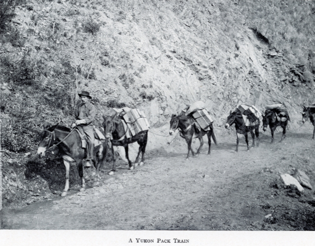 A Yukon Souvenir, 1904 - A Yukon Pack Train