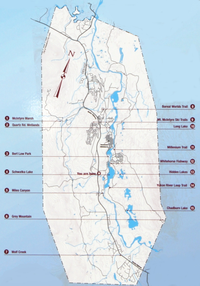 A Guide to Wildlife Viewing the the Wilderness City - Whitehorse, Yukon