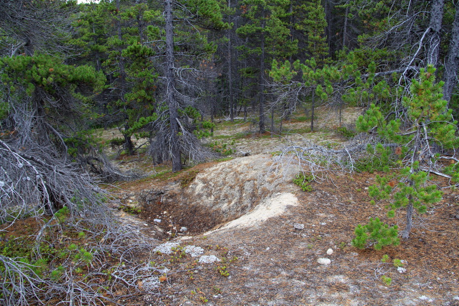 Pits at the Bennett cemetery are thought to indicate exhumations.