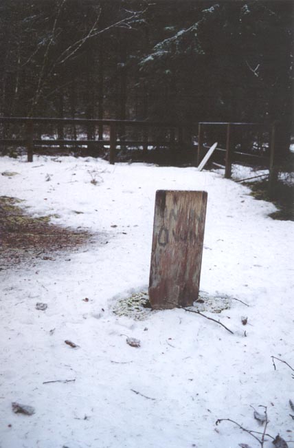 Headboard of an unknown Klondiike stampeder - Dyea Alaska - January 2001