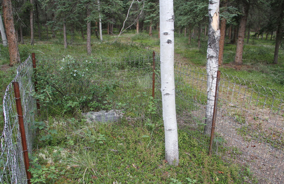 Grave of John F. K. MacMartin at Fort Selkirk, Yukon