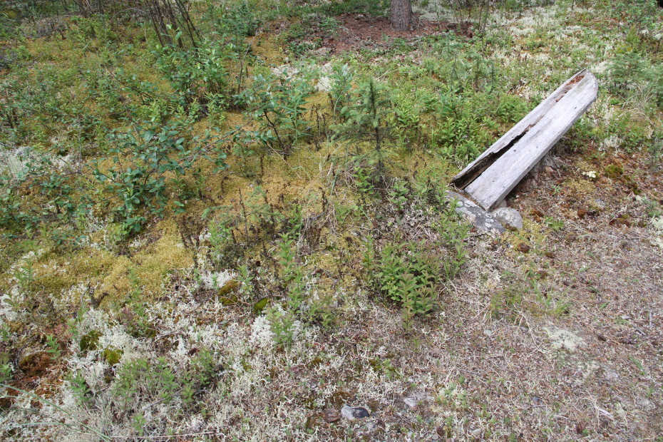 A grave for an unknown person at Fort Selkirk, Yukon