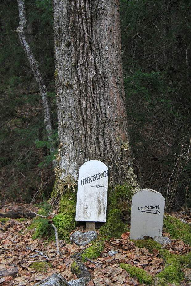 Two of several grave markers for unknown people in the Gold Rush Cemetery at Skagway, Alaska