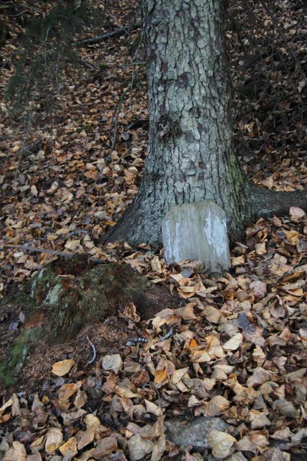 One of the illegible grave markers in the Gold Rush Cemetery at Skagway, Alaska