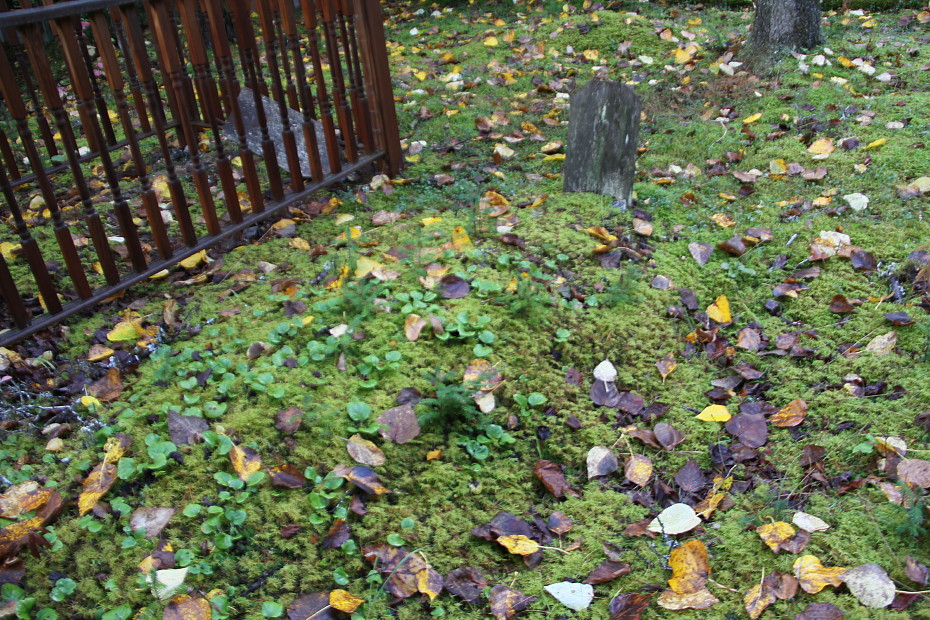 One of the many unknown gravesites in the Pioneer Cemetery at Skagway, Alaska
