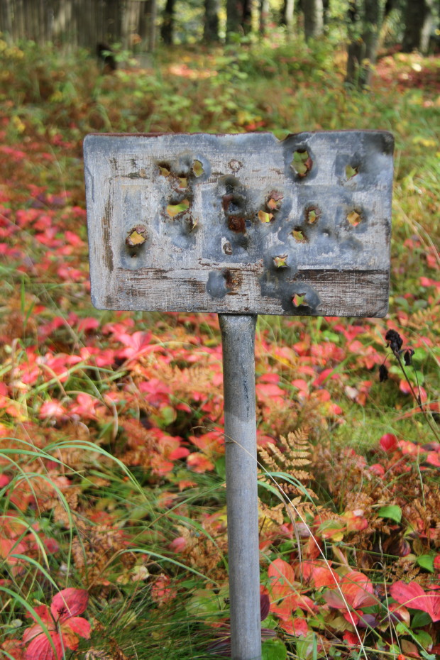 One of the many unknown gravesites in the Pioneer Cemetery at Skagway, Alaska
