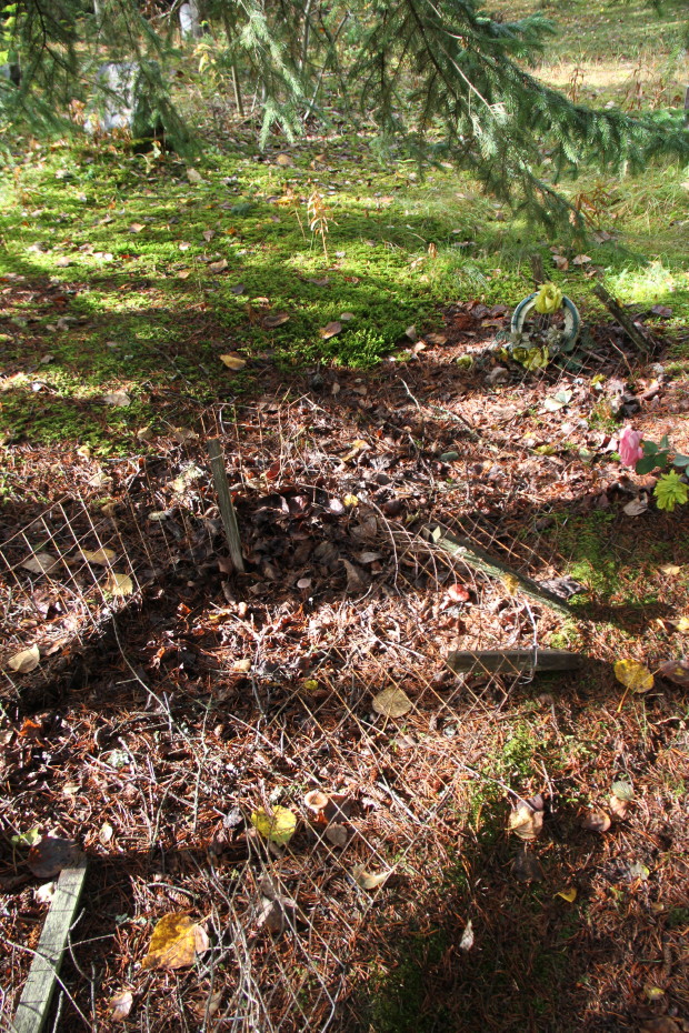 One of the many unknown gravesites in the Pioneer Cemetery at Skagway, Alaska