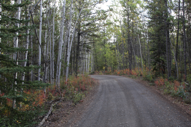 Atlin Cemetery, Atlin, BC