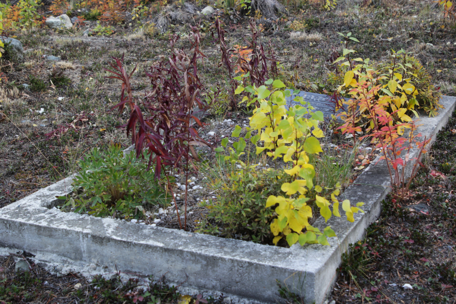 Grave of Reginald Galbraith Brook in the Atlin Cemetery, BC