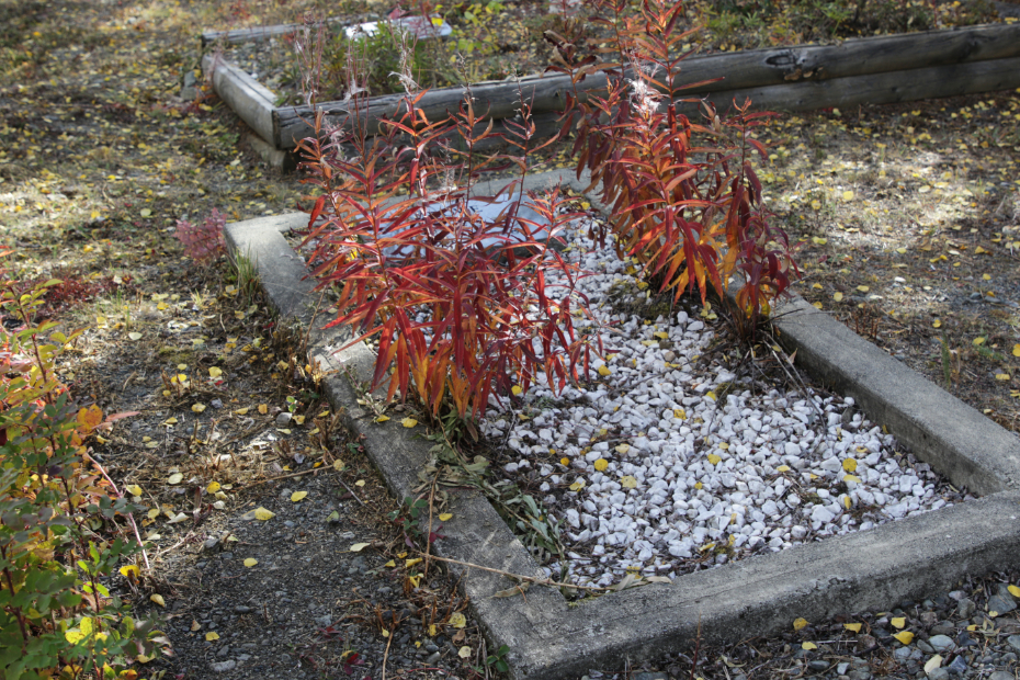 Grave of Russell H. Crowe in the Atlin Cemetery, BC