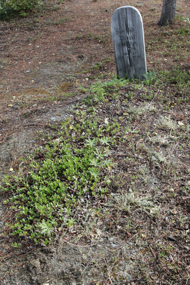 Grave of Roald David Olsen in the Atlin Cemetery, BC