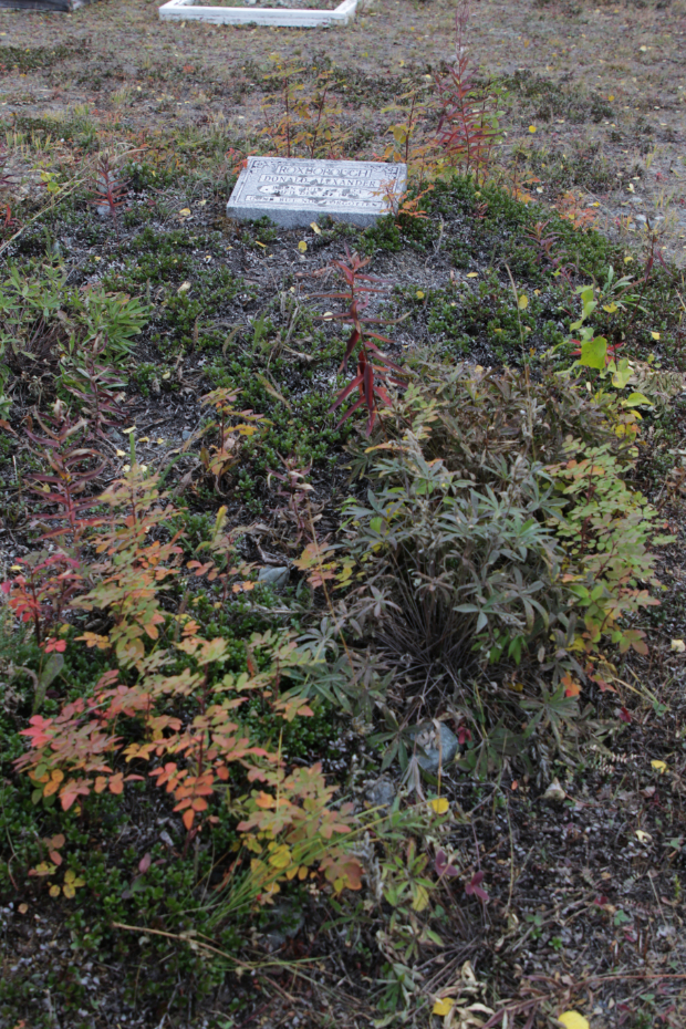 Grave of Donald Alexander Roxborough in the Atlin Cemetery, BC