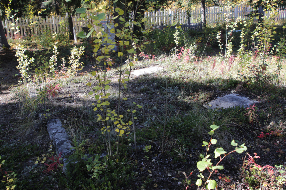 Grave of Rosina Eggert in the Atlin Pioneer Cemetery, BC