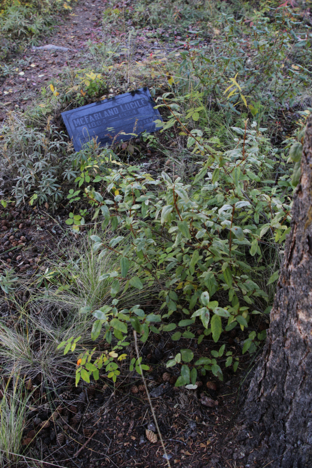 Grave of Lucile McFarland in the Atlin Pioneer Cemetery, BC