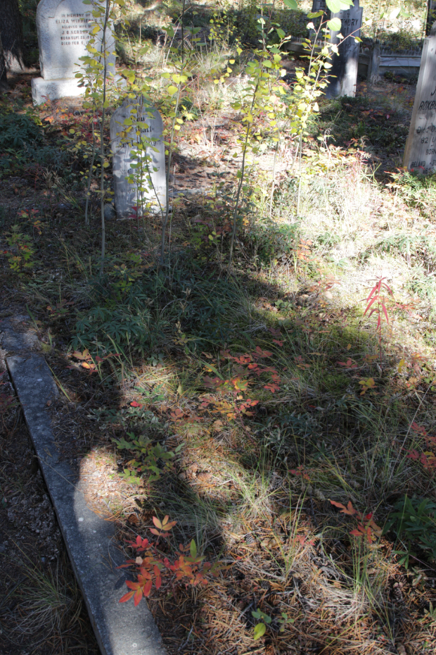 Grave of Roy McMath Roxborough in the Atlin Pioneer Cemetery, BC