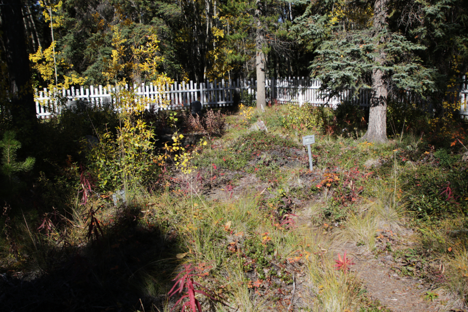 Grave of an unknown person in the Atlin Pioneer Cemetery, BC