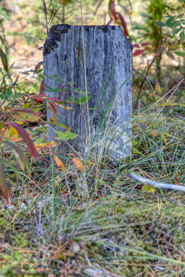 Grave of an unknown person in the Atlin Pioneer Cemetery, BC