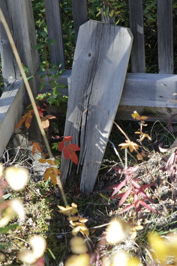 Grave of an unknown person in the Atlin Pioneer Cemetery, BC