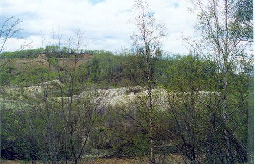 General view of a part of the Discovery Claim, showing former mining activity. Photo by John Gould, 1998, via Parks Canada.