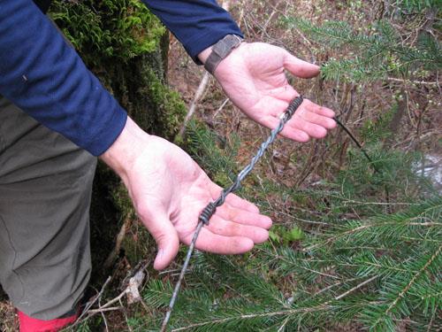 Wire splice from Yukon Telegraph line, found near Bell Cabin 2. Photo by Regional District of Kitimat-Stikine, 2009.