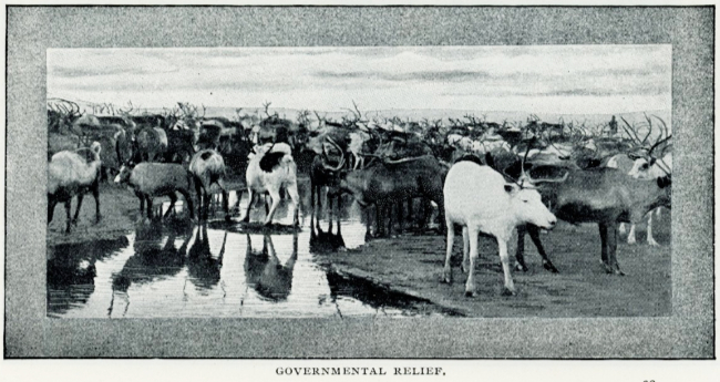 Government relief (reindeer) - Romances of the World's Great Mines: The Klondike, 1903