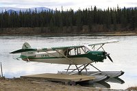 CF-RTL - Piper PA-18-125 Super Cub