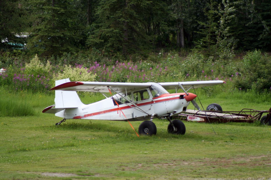 N29762, a 1980 Bellanca 8GCBC Scout